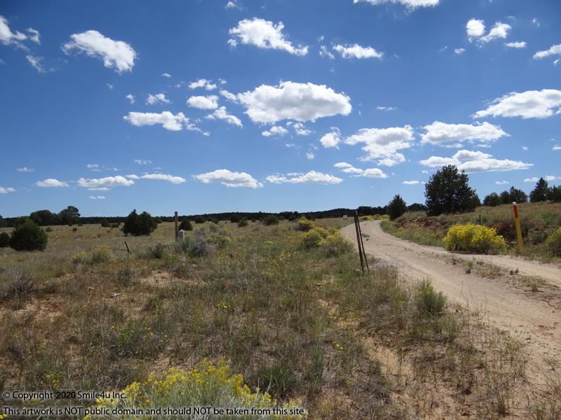 10 acres in Candy Kitchen New Mexico